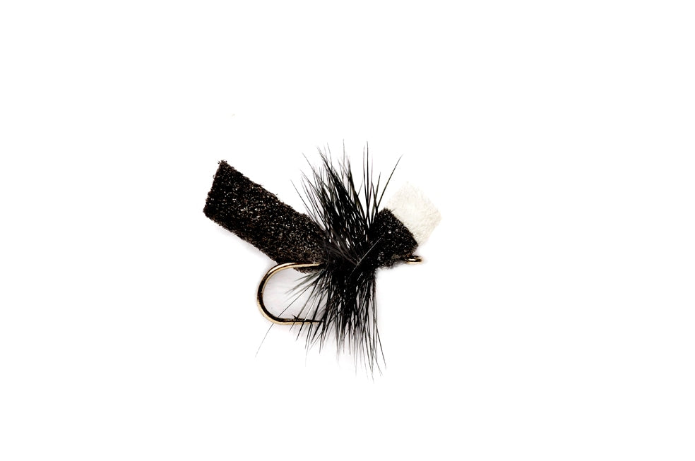 Solitude Ant Fly