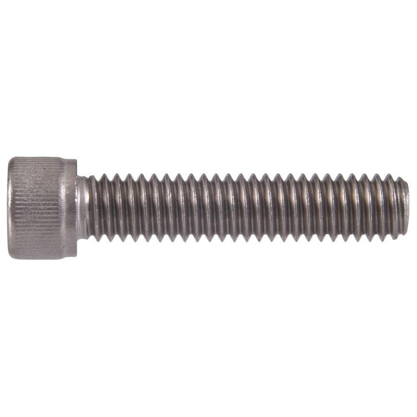 Hillman 1/4 in. -20 in. X 3 in. Internal Hex Socket Cap-Head Cap Screw (6-Pack)