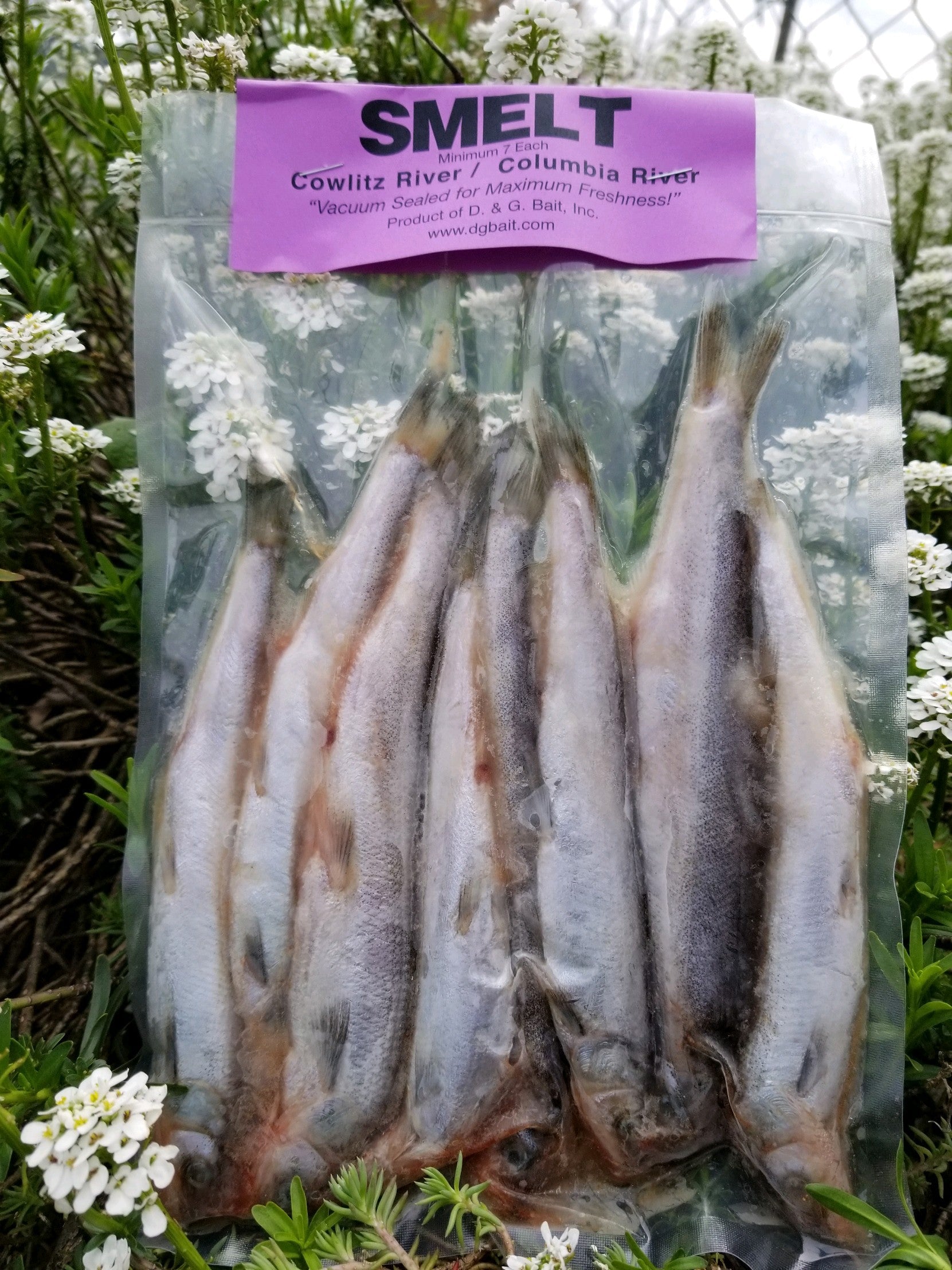 D&G Bait Smelt Fish Bait 7 Count