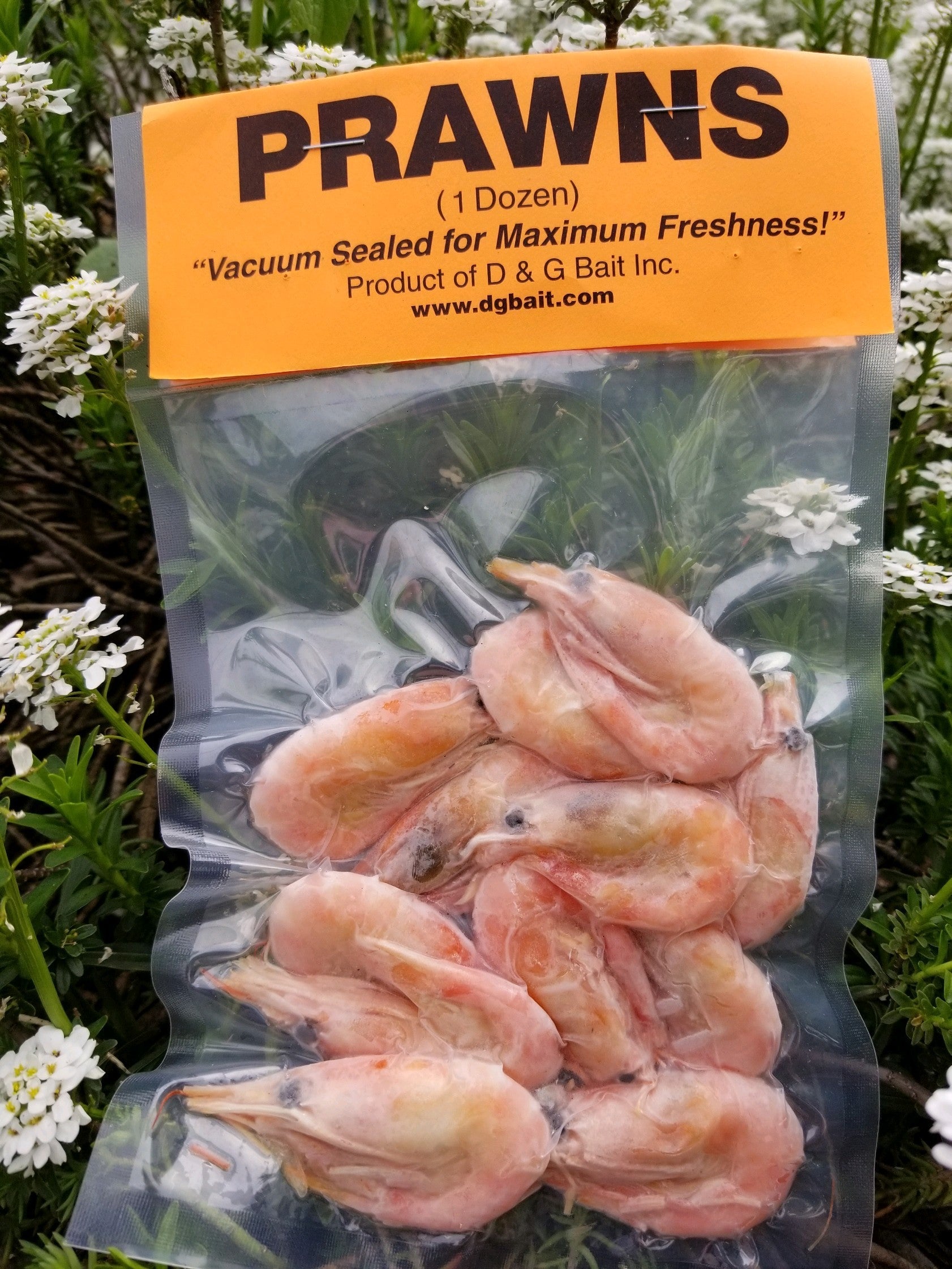D&G Bait Arctic Prawns Vacuum Packed Fish Bait 12 Count