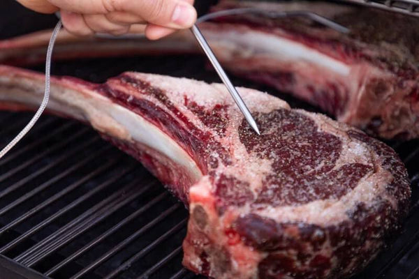 Camp Chef Pellet Grill Meat Probe