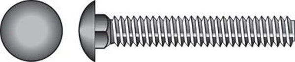 832506 0.25 X 0.75 in. Stainless Steel Carriage Bolt