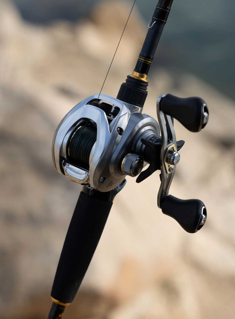 Daiwa Aird 80 Baitcasting Reel 7BB + 1 7.5 : 1