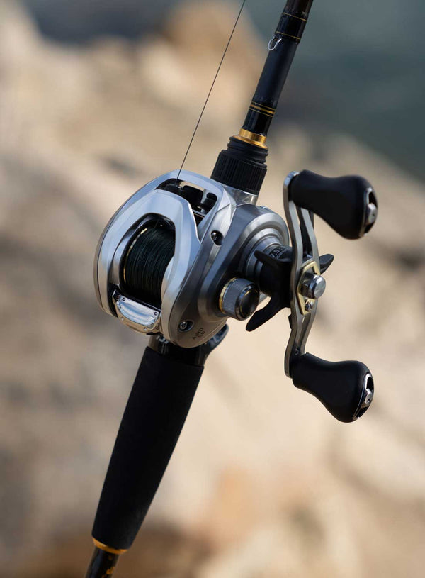 Daiwa Aird 80 Baitcasting Reel 7BB + 1 7.5 : 1