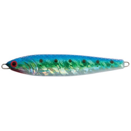 Point Wilson #10 Anchovy