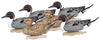 Flambeau Storm Front 2 Pintail Duck Decoys 6PK