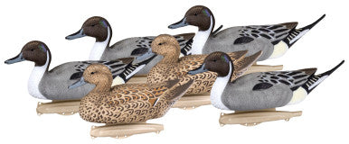 Flambeau Storm Front 2 Pintail Duck Decoys 6PK
