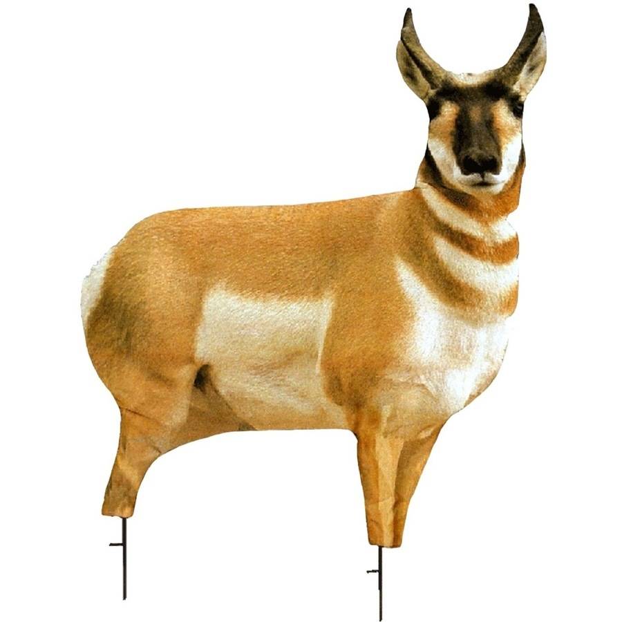 Montana Decoy Antelope Buck