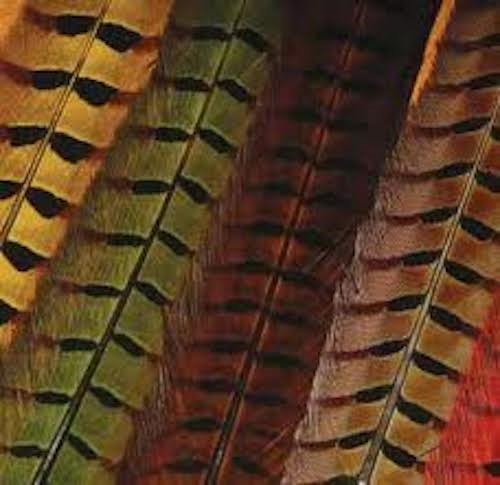 Hareline Ringneck Pheasant Tail Feathers Natural - Fly Tying