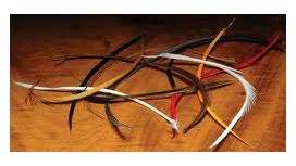 Stripped Goose Biots - Olive - Fly Fishing