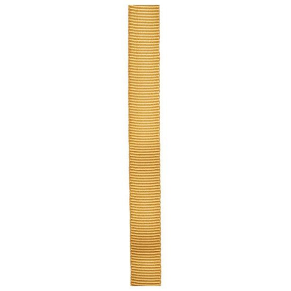 Cypher 11/16"X300' Tube Web