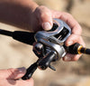 Daiwa Aird 80 Baitcasting Reel 7BB + 1 7.5 : 1