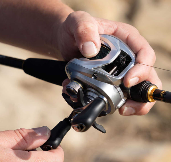Daiwa Aird 80 Baitcasting Reel 7BB + 1 7.5 : 1
