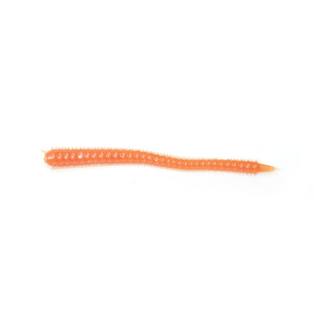 Scented Sand Worm 2 Natural 2 24PK