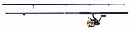 Daiwa Combo D-Wave 11`/50Sp