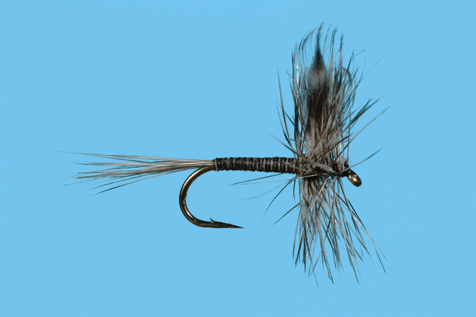 Solitude Mosquito