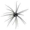 Spro COIKE 17mm