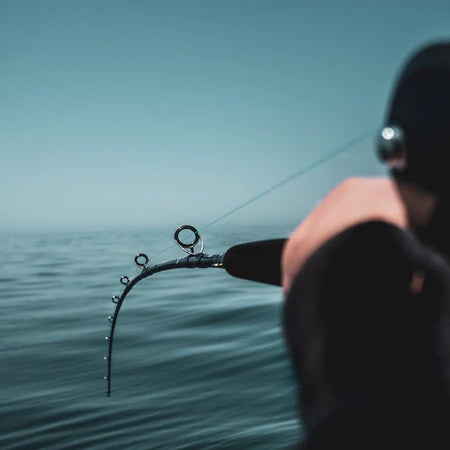 Daiwa Rod Harrier-X HRX66Mb