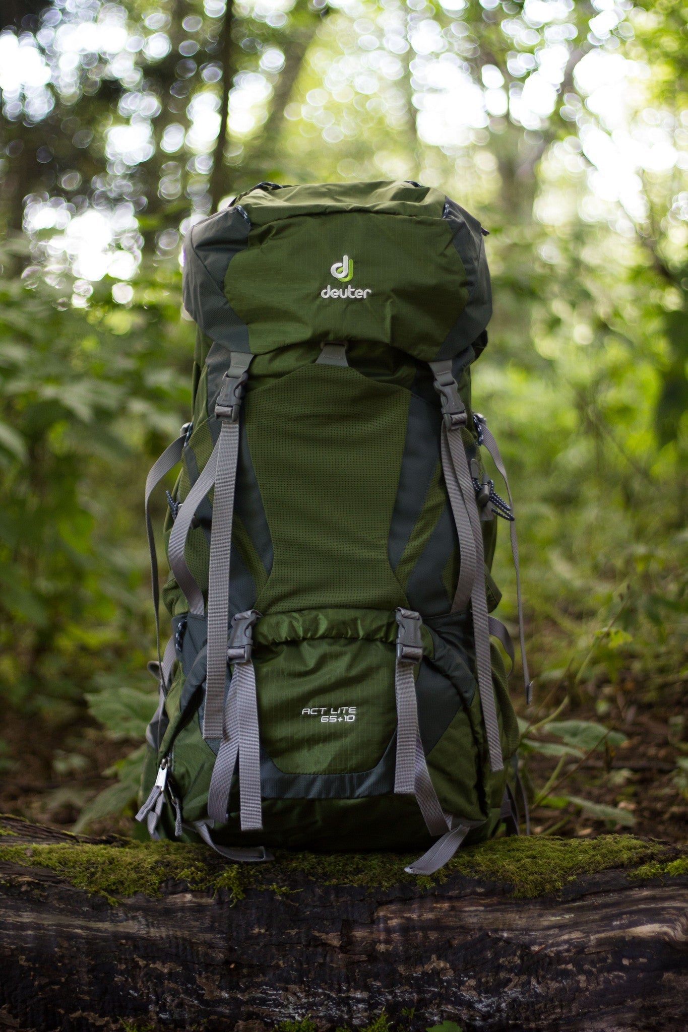 Deuter ACT Lite 65+10 Pack Rental Ballard - Ascent Outdoors LLC
