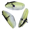 Krippled Anchovy Unrigged 3-pack