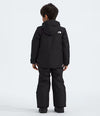 The North Face Kids' Freedom Insulated Jacket