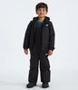 The North Face Kids' Freedom Insulated Jacket