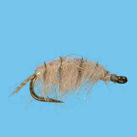 Solitude Scud