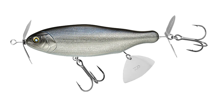 Daiwa Bessie Cisco