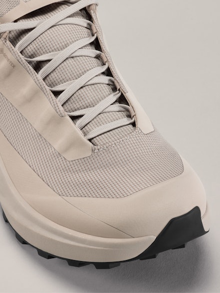 Arc'teryx Norvan LD 4 GTX Shoe  Men's