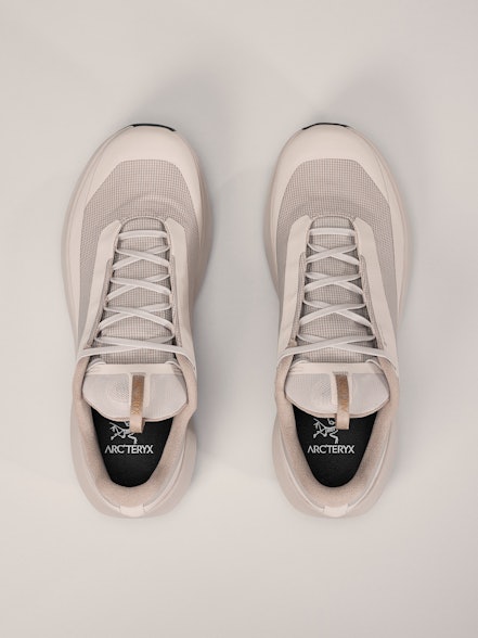 Arc'teryx Norvan LD 4 GTX Shoe  Men's