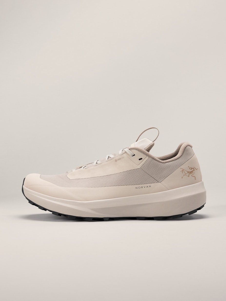 Arc'teryx Norvan LD 4 GTX Shoe  Men's