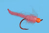 Solitude Egg Larva