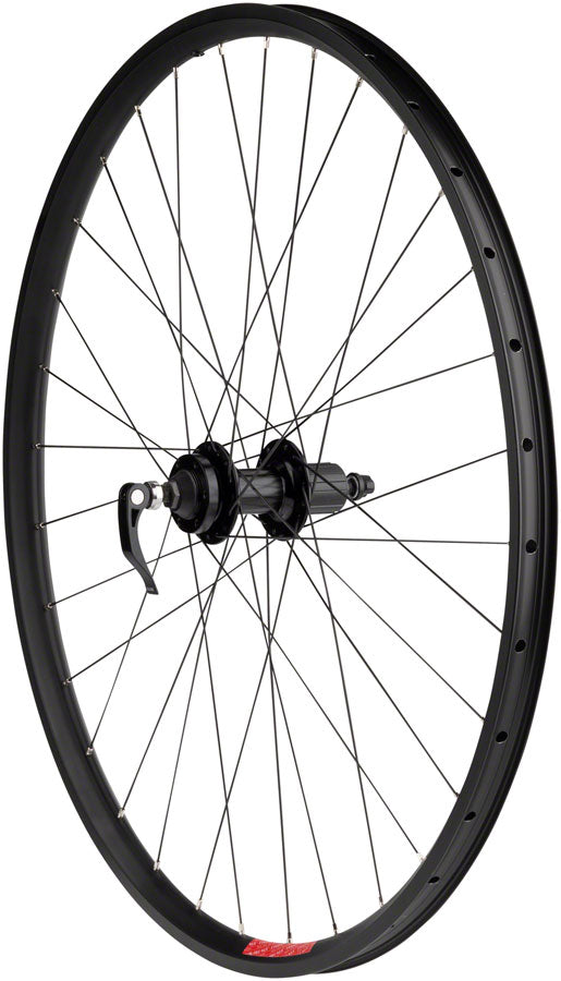 Sta-Tru Double Wall Rear Wheel - 29", QR, 10 x 135mm, HG 11 MTN, Black, 25i