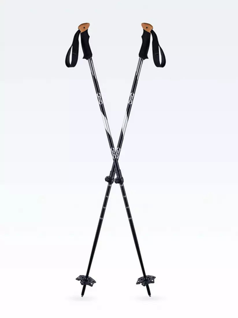 Atlas Trail Walking 2 Piece Pole