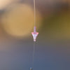 Elevated Tackle Soft Bead Stops (20 Stops)