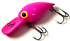 Brad's Wee Wigglers