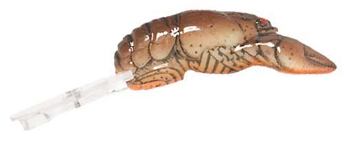 Rebel Wee Crawfish