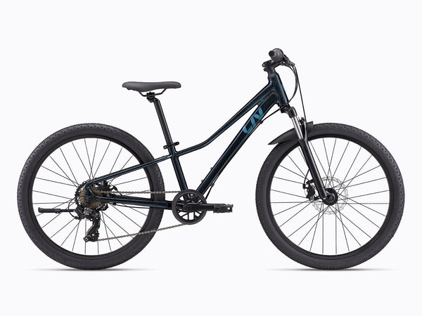 Giant Tempt 24 Disc