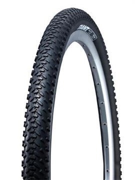 Giant Revel Tire