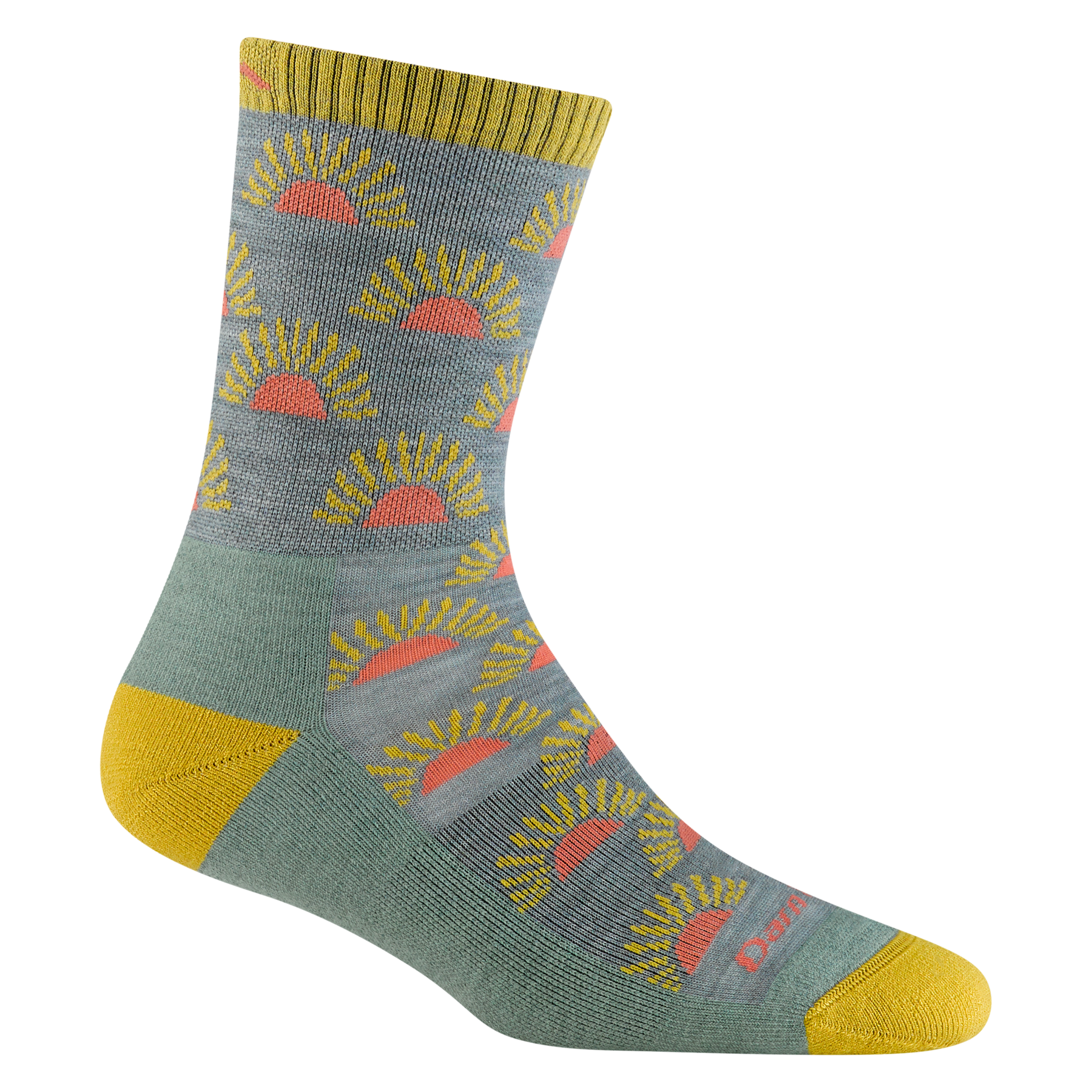 Darn Tough Ray Day Micro Crew Lightweight with Cushion Sock