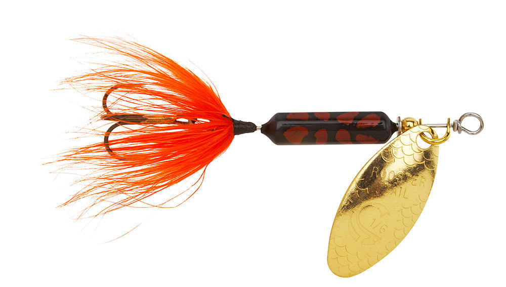 Worden's Original Rooster Tail 1/6