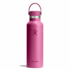 Hydro Flask Standard Mouth Bottle with Flex Cap