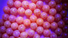 Lured Hard Beads