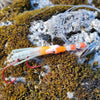 Lured Baby Squidlets