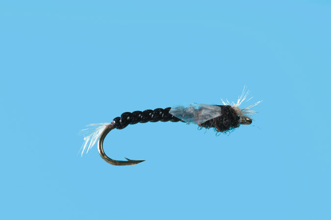 Solitude Chironomid