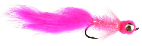 Solitude Starlight Leech