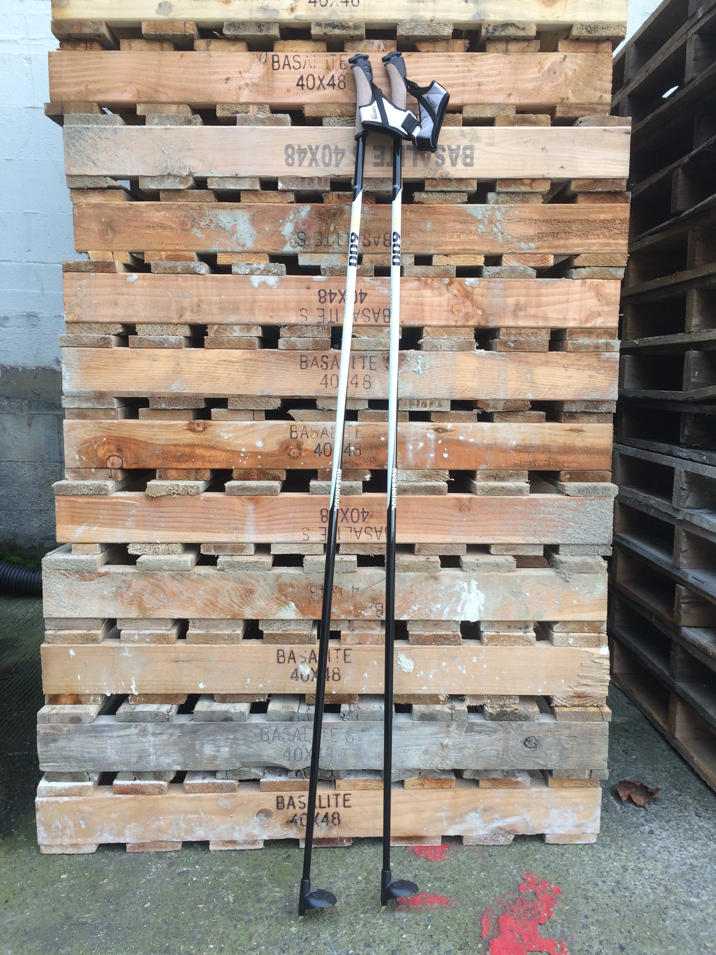 Rossignol Nordic Classic Pole Rental  Ballard - Ascent Outdoors LLC
