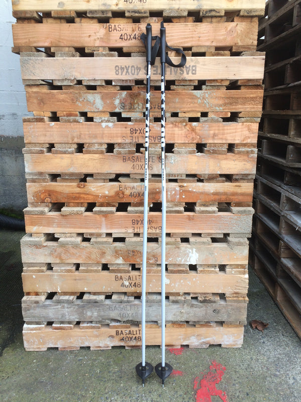 Rossignol Nordic Classic Pole Rental  Ballard - Ascent Outdoors LLC