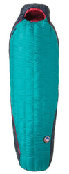 Big Agnes Daisy Mae 15 650 Downtek Sleeping Bag - Ascent Outdoors LLC